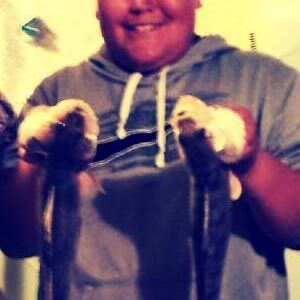 Meet your Posher, Anthony